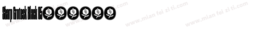 Sharp Grotesk Black 05字体转换